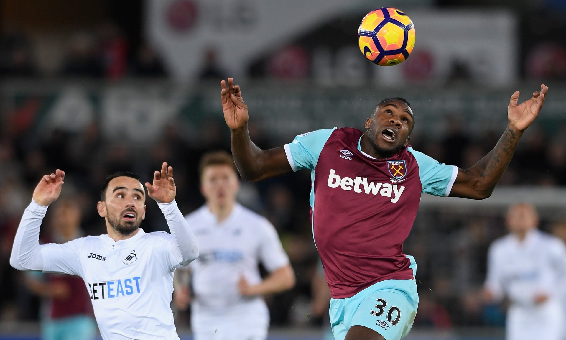 也从以往失 也从以往失